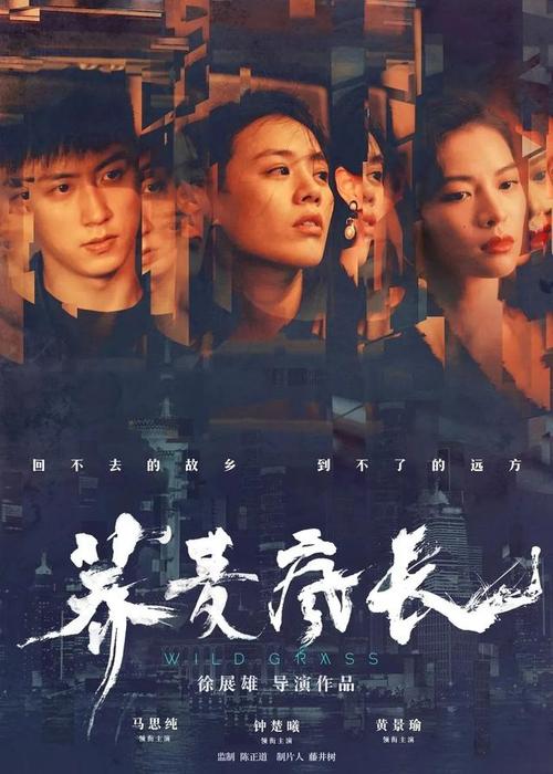 维泰博美术学院Designdegreecertificate